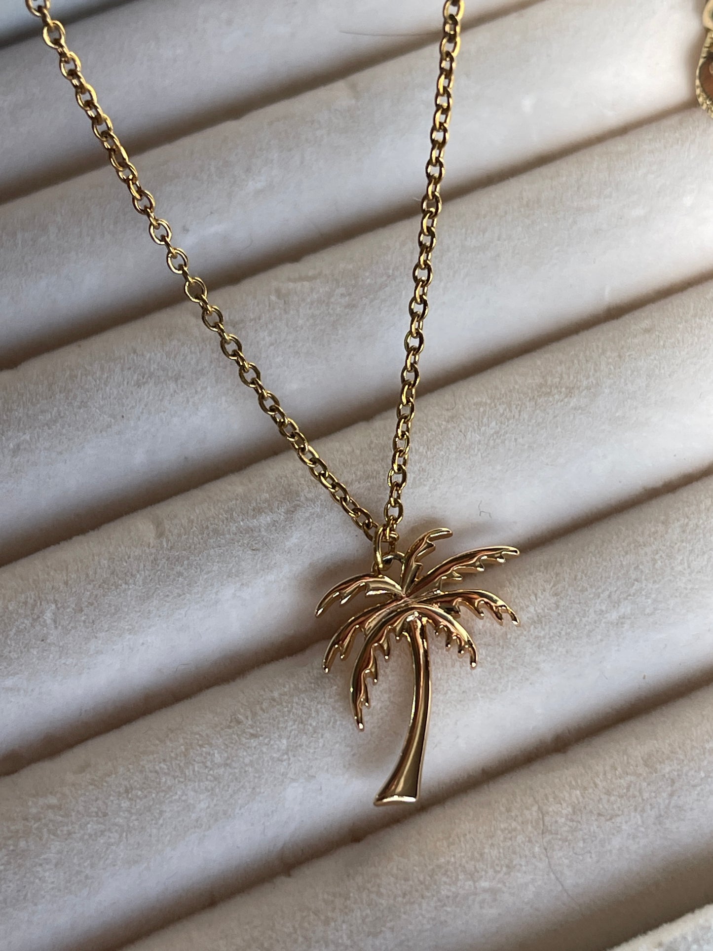 Cadena palmera