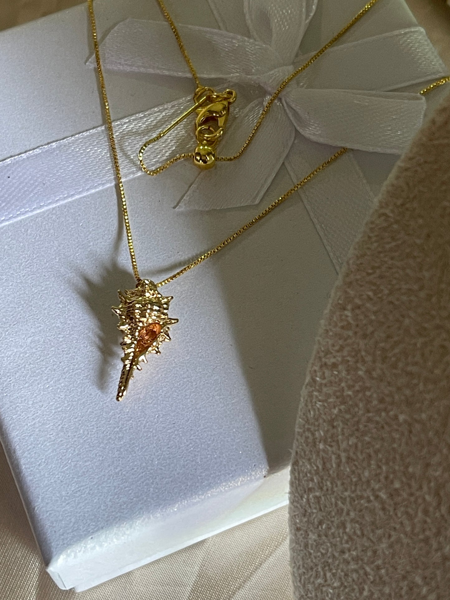 Cadena caracol