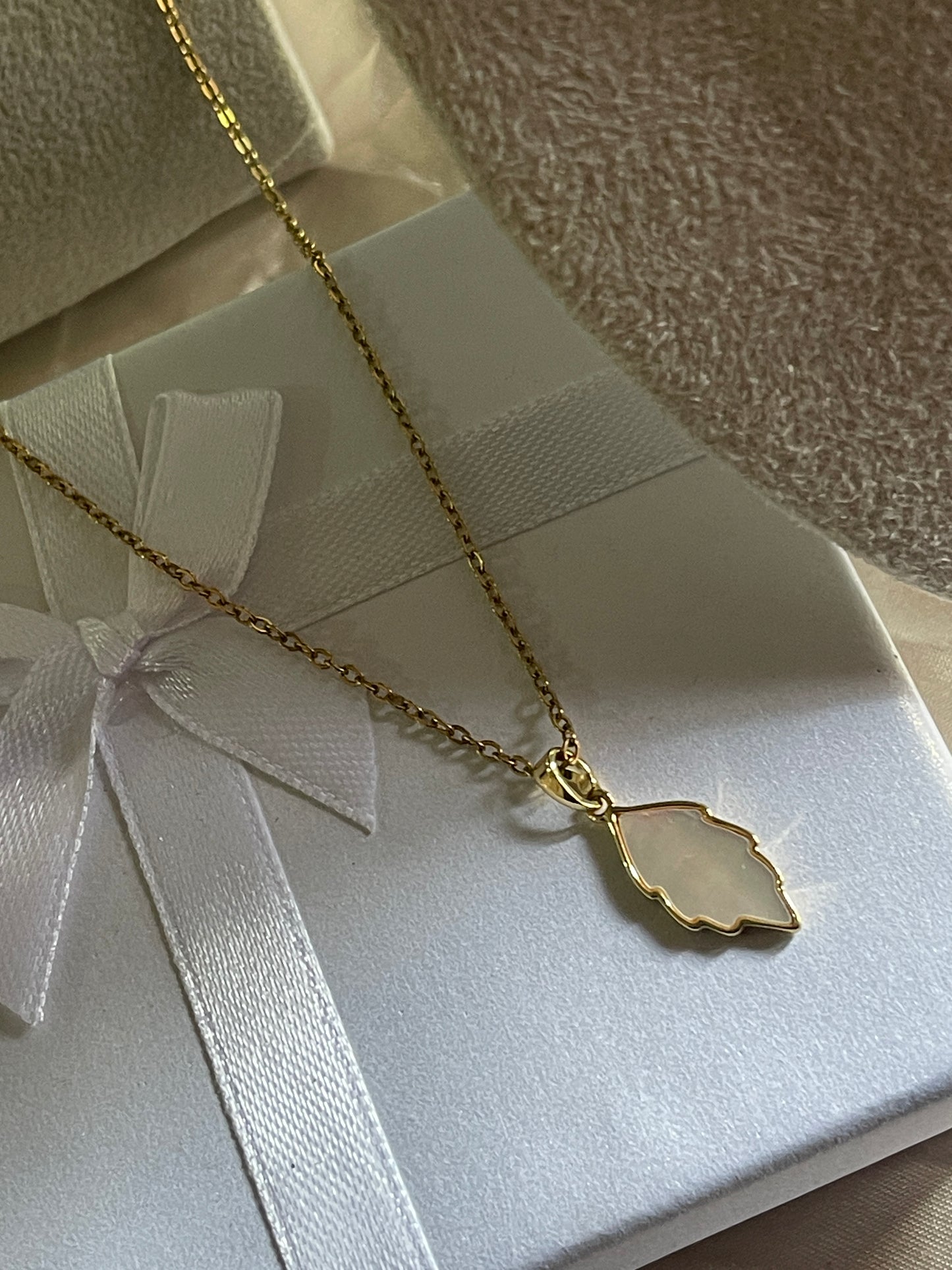 Cadena concha nácar